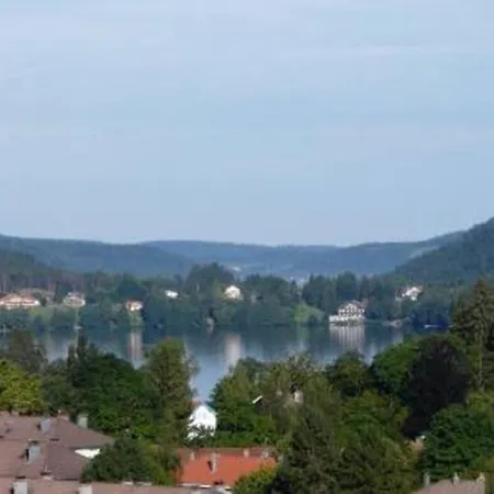 Dans Chalet, Vue Lac, Terrasse Gérardmer